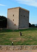 Torre de Cabrahigo (foto propiedad de Eco-Viajes)