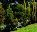 El río Cinca nace en los Pirineos y fluye por las poblaciones de Bielsa, Lafortunada, Escalona y Aínsa para desembocar en el lago de Mediano