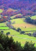 Valle del Roncal (Navarra) (foto de José Luis Rodríguez)