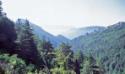 Vistas del Berguedà desde las proximidades del antiguo enclave de Escriu