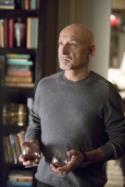 Ben Kingsley (David Kepesh)
