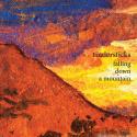 Tindersticks: <i>Falling Down a Mountain</i> (2010)