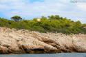 Excursión al faro de Tramuntana - Isla de Dragoneran (foto propiedad de Eco-Viajes)