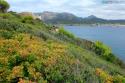 Mirador en la ruta de subida al faro de Tramuntana - Isla de Dragonera (foto propiedad de Eco-Viajes)