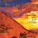 Falling Down a Mountain, CD de Tindersticks (por Marion Cassabalian)
